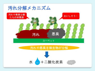 カーペットエース